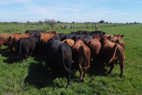 Recorrida a Campo Previa al 20° Remate Anual Estancia Don Pastor