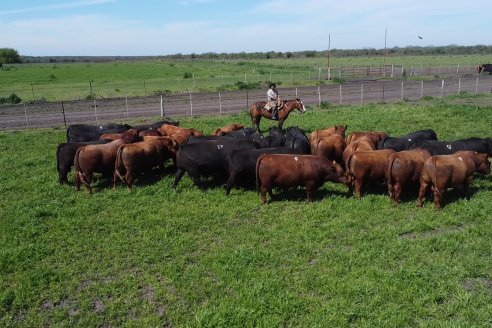 Recorrida a Campo Previa al 20° Remate Anual Estancia Don Pastor