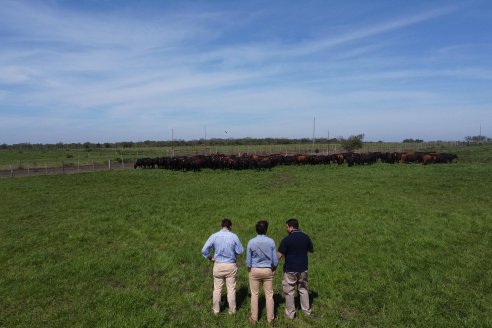 Recorrida a Campo Previa al 20° Remate Anual Estancia Don Pastor