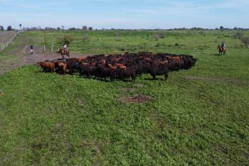 Recorrida a Campo Previa al 20° Remate Anual Estancia Don Pastor