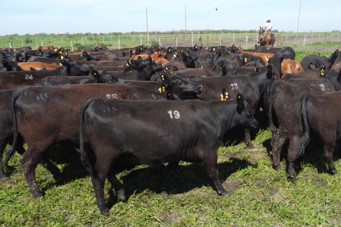 Recorrida a Campo Previa al 20° Remate Anual Estancia Don Pastor