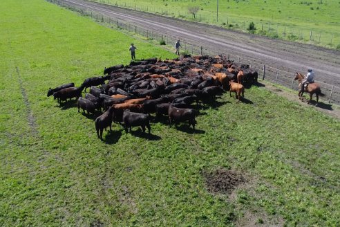 Recorrida a Campo Previa al 20° Remate Anual Estancia Don Pastor