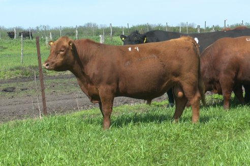 Recorrida a Campo Previa al 20° Remate Anual Estancia Don Pastor