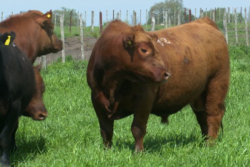 Recorrida a Campo Previa al 20° Remate Anual Estancia Don Pastor