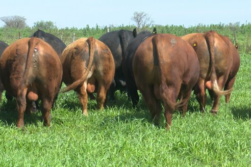 Recorrida a Campo Previa al 20° Remate Anual Estancia Don Pastor