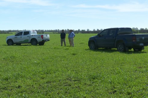 Recorrida a Campo Previa al 20° Remate Anual Estancia Don Pastor