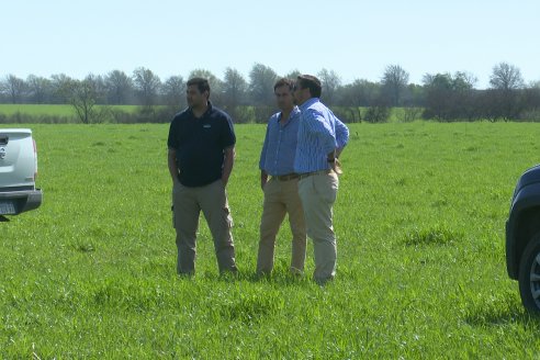 Recorrida a Campo Previa al 20° Remate Anual Estancia Don Pastor