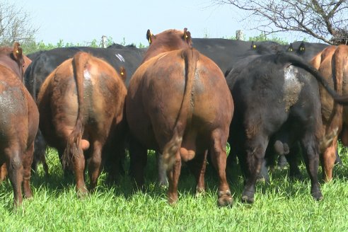 Recorrida a Campo Previa al 20° Remate Anual Estancia Don Pastor
