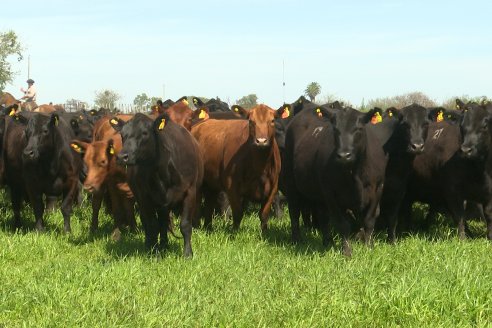 Recorrida a Campo Previa al 20° Remate Anual Estancia Don Pastor