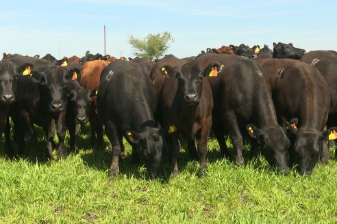 Recorrida a Campo Previa al 20° Remate Anual Estancia Don Pastor