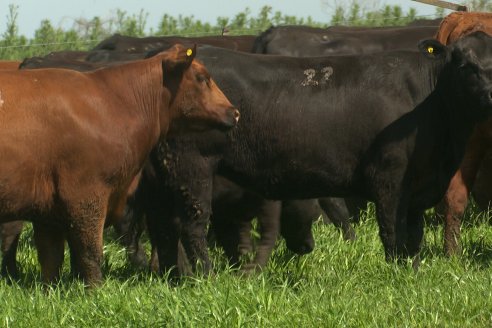 Recorrida a Campo Previa al 20° Remate Anual Estancia Don Pastor