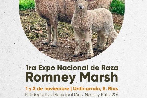 Exposición Nacional Romney Marsh