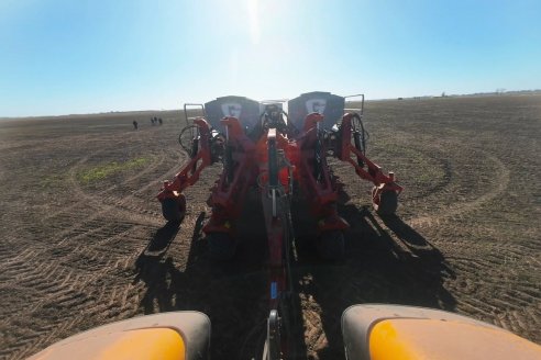 Prueba del prototipo de Sembradora Giorgi Argentun-Max: Experiencia en Zavalla, Santa Fe