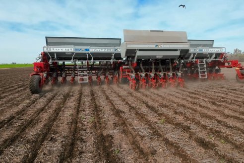 Prueba del prototipo de Sembradora Giorgi Argentun-Max: Experiencia en Zavalla, Santa Fe