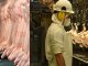 Ventas agroindustriales alcanzaron un récord de exportaciones