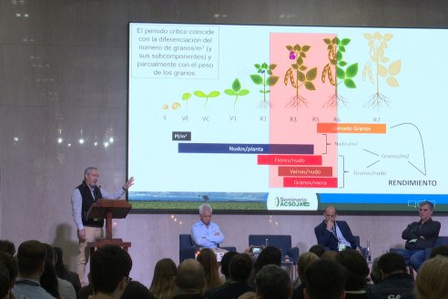 Seminario AcSoja 2025: Cuando la soja tiene la palabra - Bolsa de Comercio de Rosario