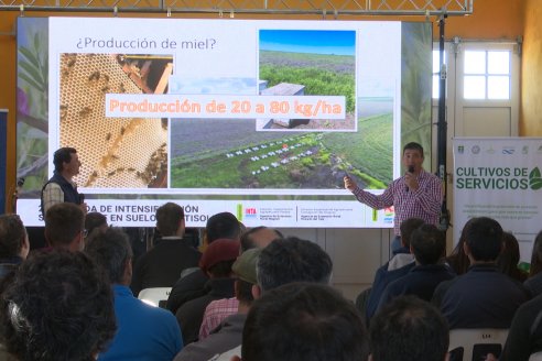 2° Jornada de Imtensificación Sustentable en Suelos Vertisoles - Guardamonte, Entre Ríos