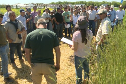 2° Jornada de Imtensificación Sustentable en Suelos Vertisoles - Guardamonte, Entre Ríos