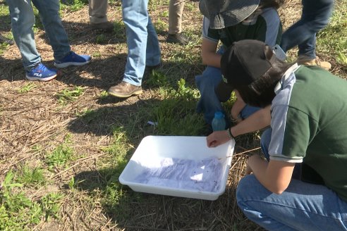 2° Jornada de Imtensificación Sustentable en Suelos Vertisoles - Guardamonte, Entre Ríos