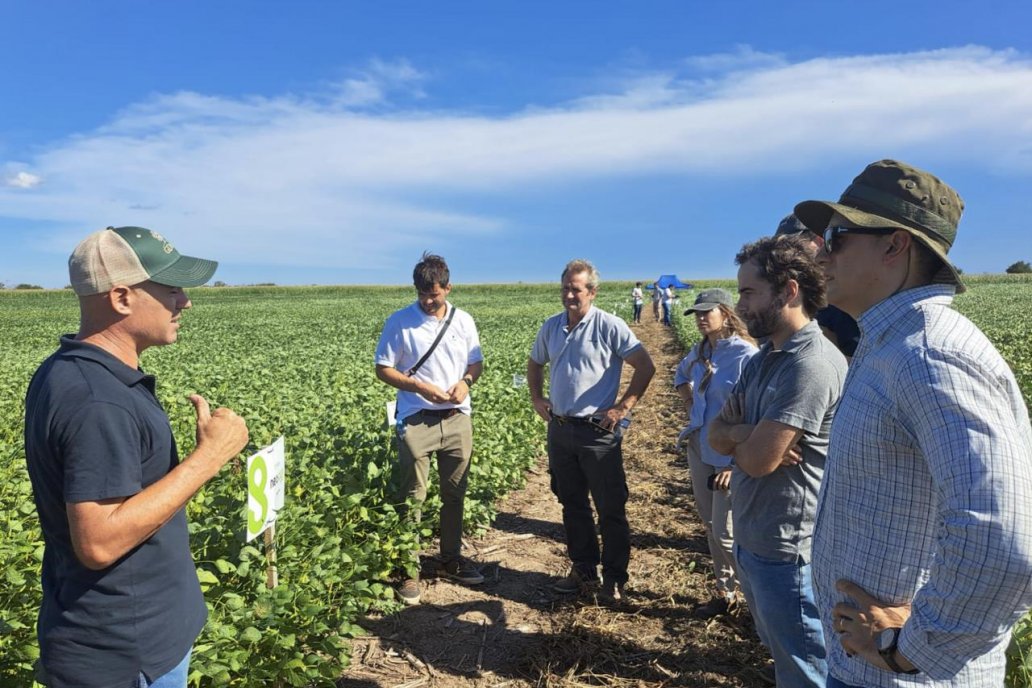 Para 2029, proyectan 2,5 millones de hectáreas cultivadas con Sembrá Evolución Para 2029, proyectan 2,5 millones de hectáreas cultivadas con Sembrá Evolución