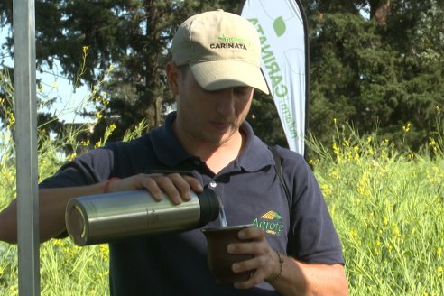 Carinata: Jornada a Campo de Nufarm y Agrofe Campo en Cerrito