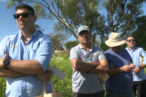 Carinata: Jornada a Campo de Nufarm y Agrofe Campo en Cerrito
