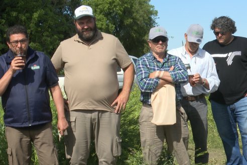 Carinata: Jornada a Campo de Nufarm y Agrofe Campo en Cerrito