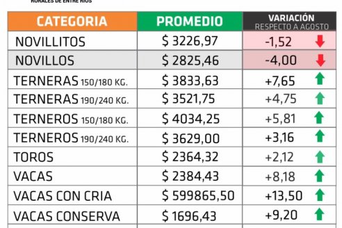 En la provincia sigue entonado el precio de la hacienda en pie