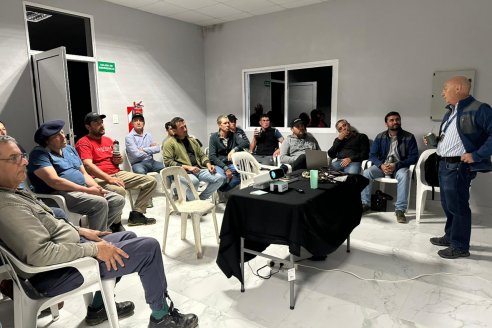 Ganaderos estudian cómo aprovechar mejor el sorgo granífero