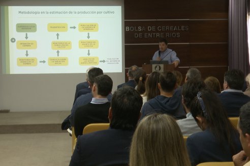 Charla BolsaCER junto a UIER y Bco Galicia - Entre Ríos Datos y Perspectivas Agricolas 2025-26