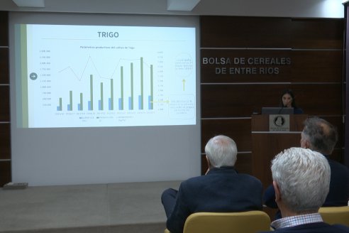 Charla BolsaCER junto a UIER y Bco Galicia - Entre Ríos Datos y Perspectivas Agricolas 2025-26
