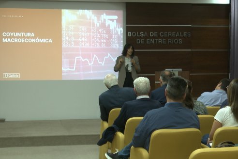Charla BolsaCER junto a UIER y Bco Galicia - Entre Ríos Datos y Perspectivas Agricolas 2025-26