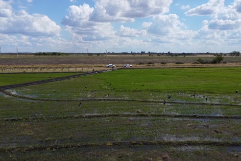 Charla BolsaCER junto a UIER y Bco Galicia - Entre Ríos Datos y Perspectivas Agricolas 2025-26