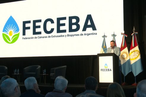 9° Congreso Internacional de Extrusores y Biopymes de la Región Centro