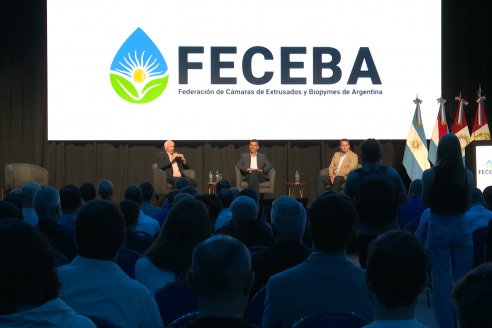 9° Congreso Internacional de Extrusores y Biopymes de la Región Centro