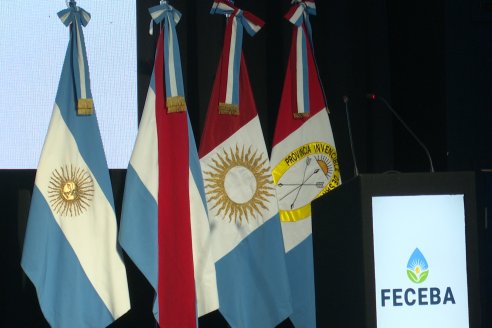 9° Congreso Internacional de Extrusores y Biopymes de la Región Centro