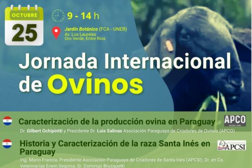 Jornada internacional de ovinos