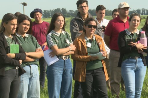 Jornada GENTOS en La Nueva Trinidad, Gdor.Mansilla - Poniendo el foco en las pasturas para una ganaderia más rentable