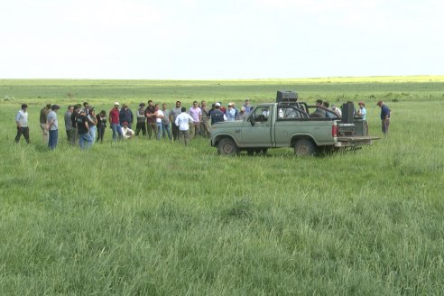 Jornada GENTOS en La Nueva Trinidad, Gdor.Mansilla - Poniendo el foco en las pasturas para una ganaderia más rentable