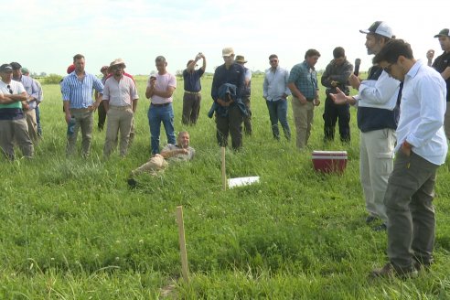 Jornada GENTOS en La Nueva Trinidad, Gdor.Mansilla - Poniendo el foco en las pasturas para una ganaderia más rentable