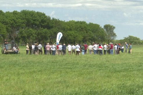 Jornada GENTOS en La Nueva Trinidad, Gdor.Mansilla - Poniendo el foco en las pasturas para una ganaderia más rentable