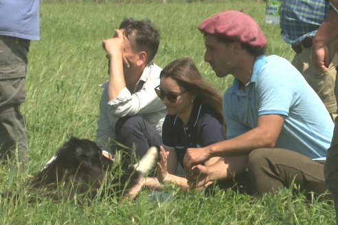 Jornada GENTOS en La Nueva Trinidad, Gdor.Mansilla - Poniendo el foco en las pasturas para una ganaderia más rentable