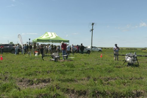 Jornada GENTOS en La Nueva Trinidad, Gdor.Mansilla - Poniendo el foco en las pasturas para una ganaderia más rentable
