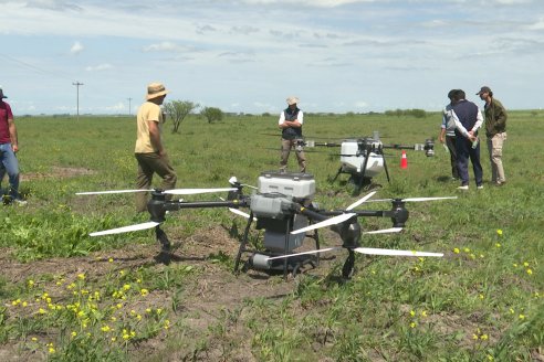 Jornada GENTOS en La Nueva Trinidad, Gdor.Mansilla - Poniendo el foco en las pasturas para una ganaderia más rentable