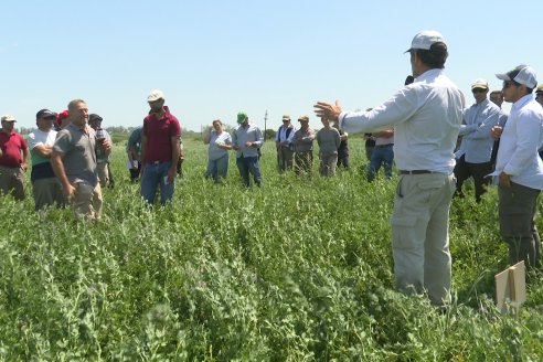 Jornada GENTOS en La Nueva Trinidad, Gdor.Mansilla - Poniendo el foco en las pasturas para una ganaderia más rentable