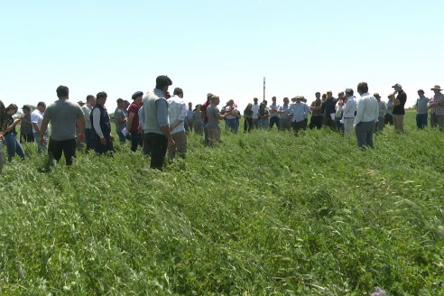 Jornada GENTOS en La Nueva Trinidad, Gdor.Mansilla - Poniendo el foco en las pasturas para una ganaderia más rentable