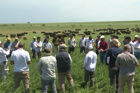 Jornada GENTOS en La Nueva Trinidad, Gdor.Mansilla - Poniendo el foco en las pasturas para una ganaderia más rentable