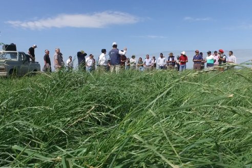 Jornada GENTOS en La Nueva Trinidad, Gdor.Mansilla - Poniendo el foco en las pasturas para una ganaderia más rentable