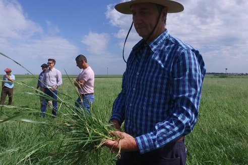 Jornada GENTOS en La Nueva Trinidad, Gdor.Mansilla - Poniendo el foco en las pasturas para una ganaderia más rentable