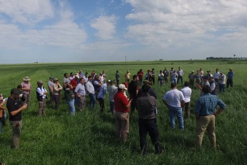 Jornada GENTOS en La Nueva Trinidad, Gdor.Mansilla - Poniendo el foco en las pasturas para una ganaderia más rentable